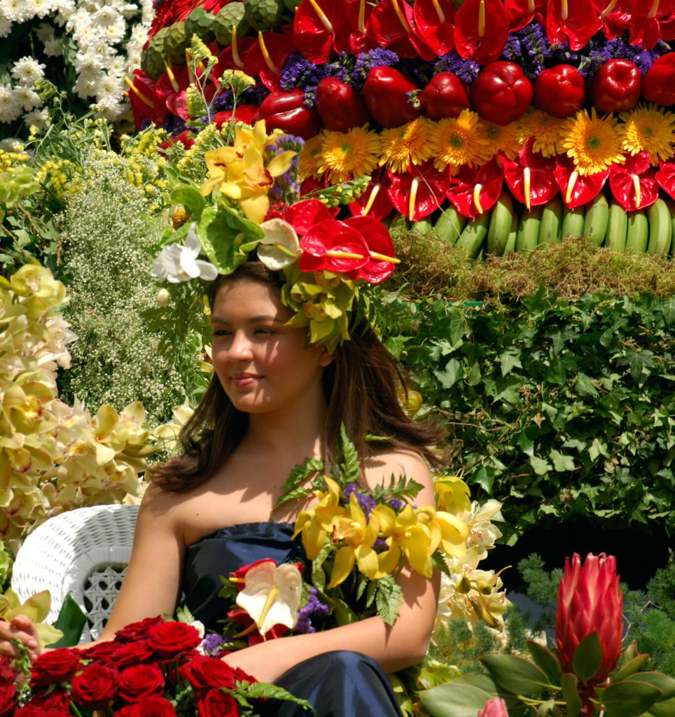 festa da flor madeira