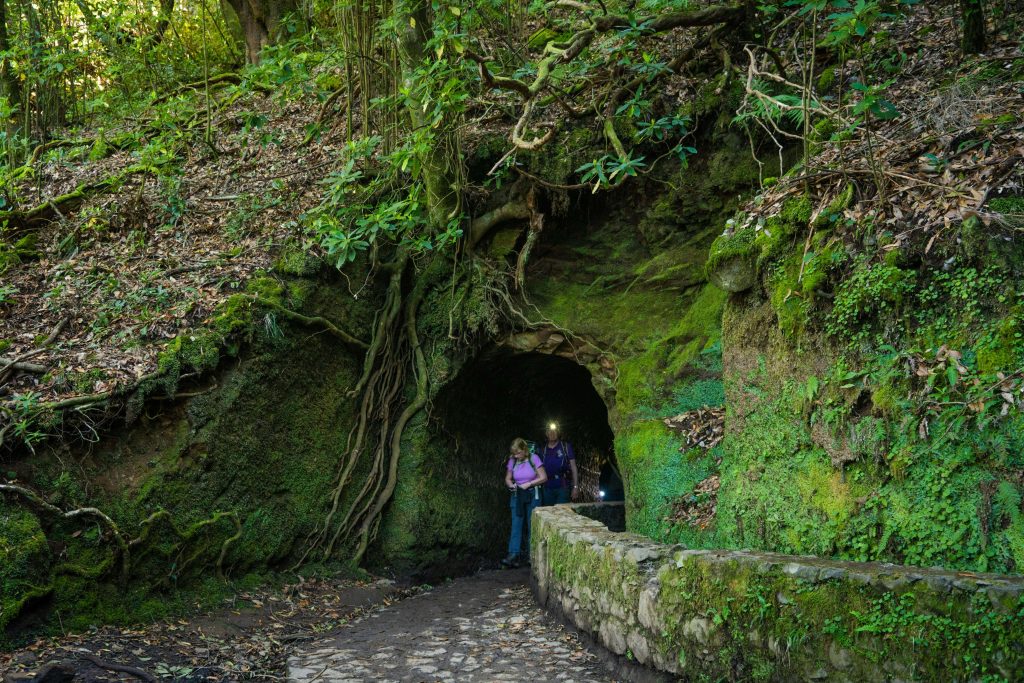 caminhadas ilha da madeira